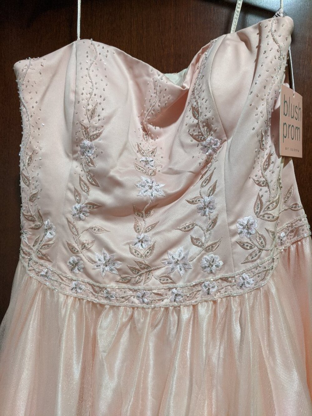 Blush Prom IWA136 Size 14 Prom Dress - Picture 3 of 6